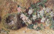 William Henry Hunt,OWS Chaffinch Nest and  May Blossom (mk46) Spain oil painting artist